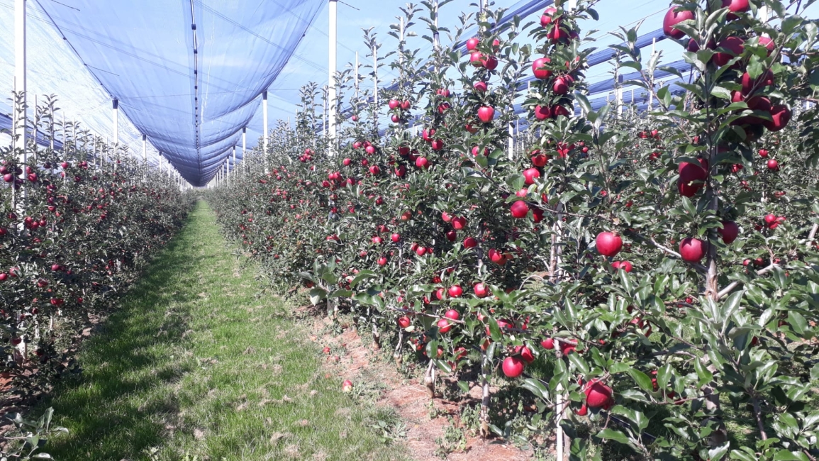 Impression vom 19.01.2026