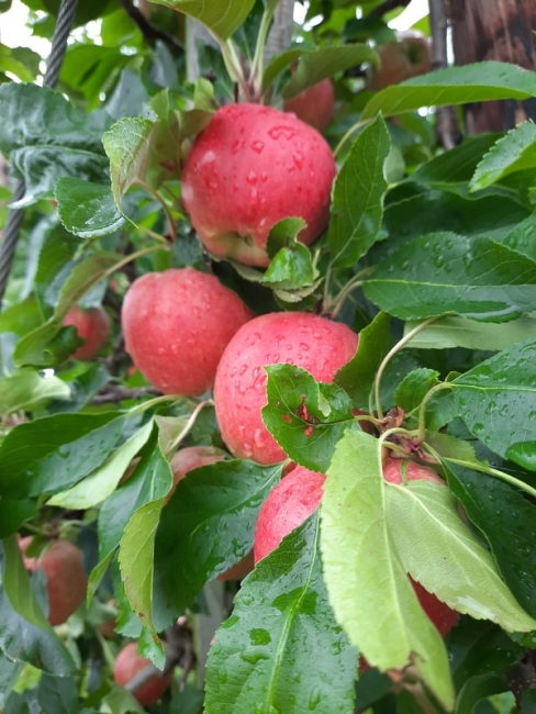 Impression vom 19.01.2026