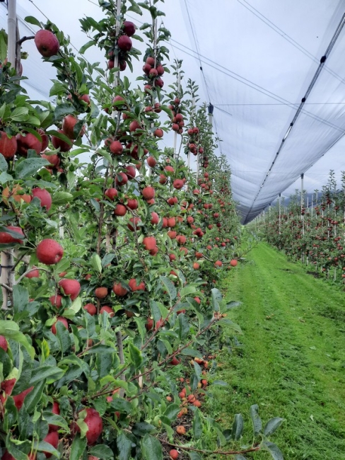 Impression vom 19.01.2026