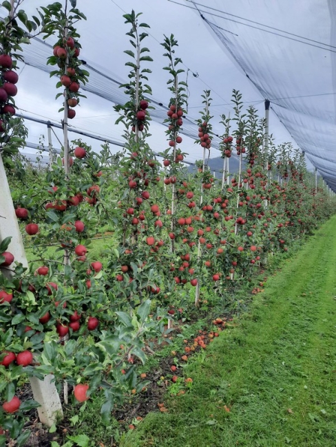 Impression vom 19.01.2026