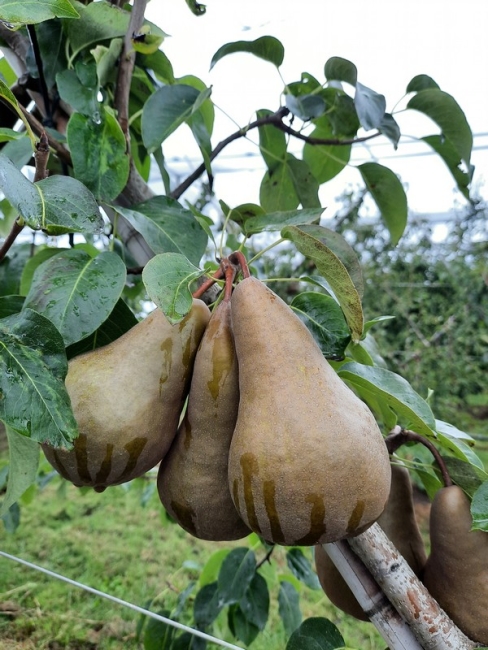 Impression vom 19.01.2026