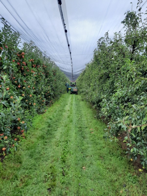 Impression vom 19.01.2026