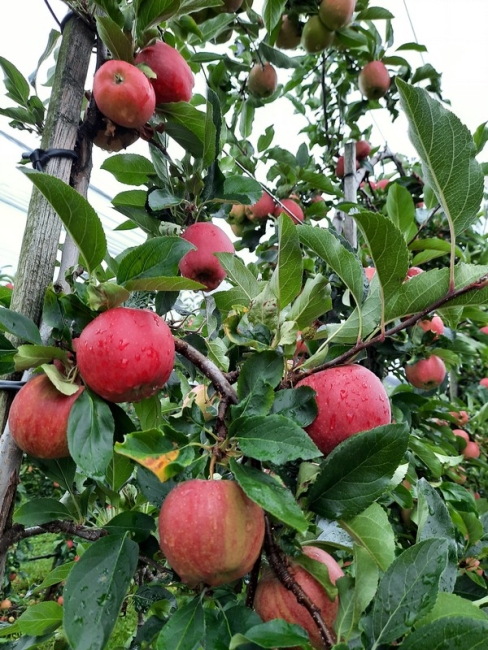 Impression vom 19.01.2026