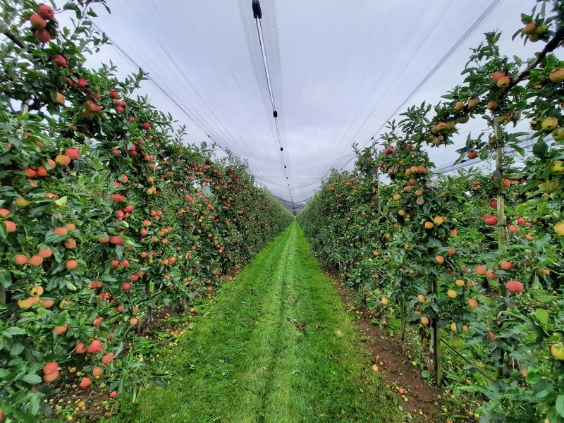 Impression vom 19.01.2026