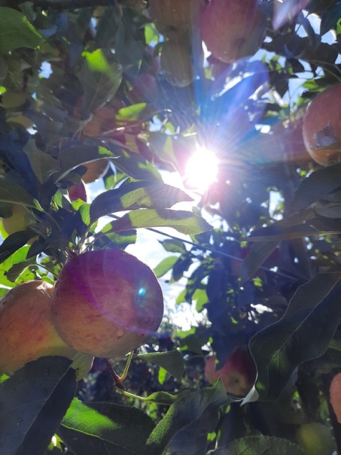 Impression vom 19.01.2026