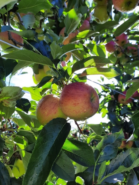 Impression vom 19.01.2026