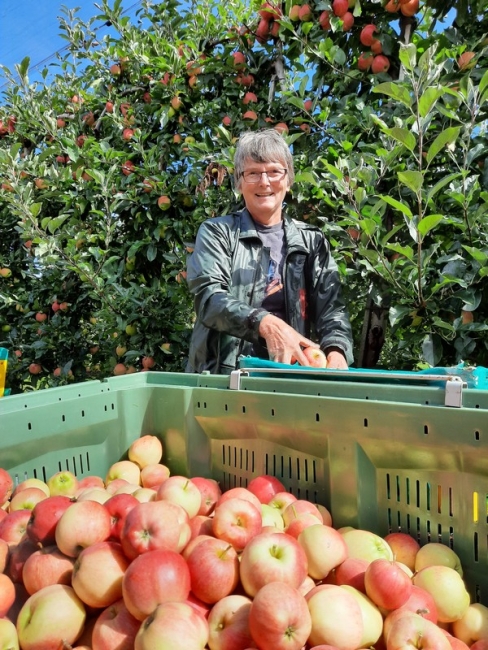 Impression vom 19.01.2026