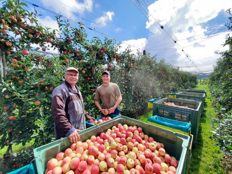 Impression vom 19.01.2026