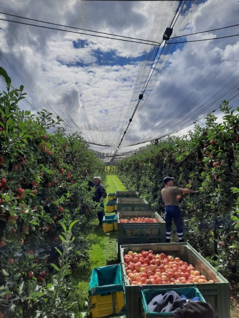 Impression vom 19.01.2026