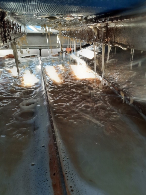 Impression vom 19.01.2026