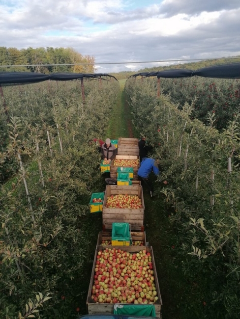 Impression vom 19.01.2026