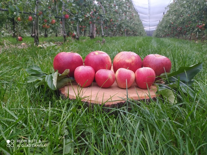 Impression vom 19.01.2026