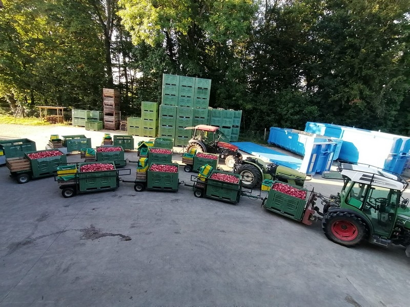 Impression vom 19.01.2026