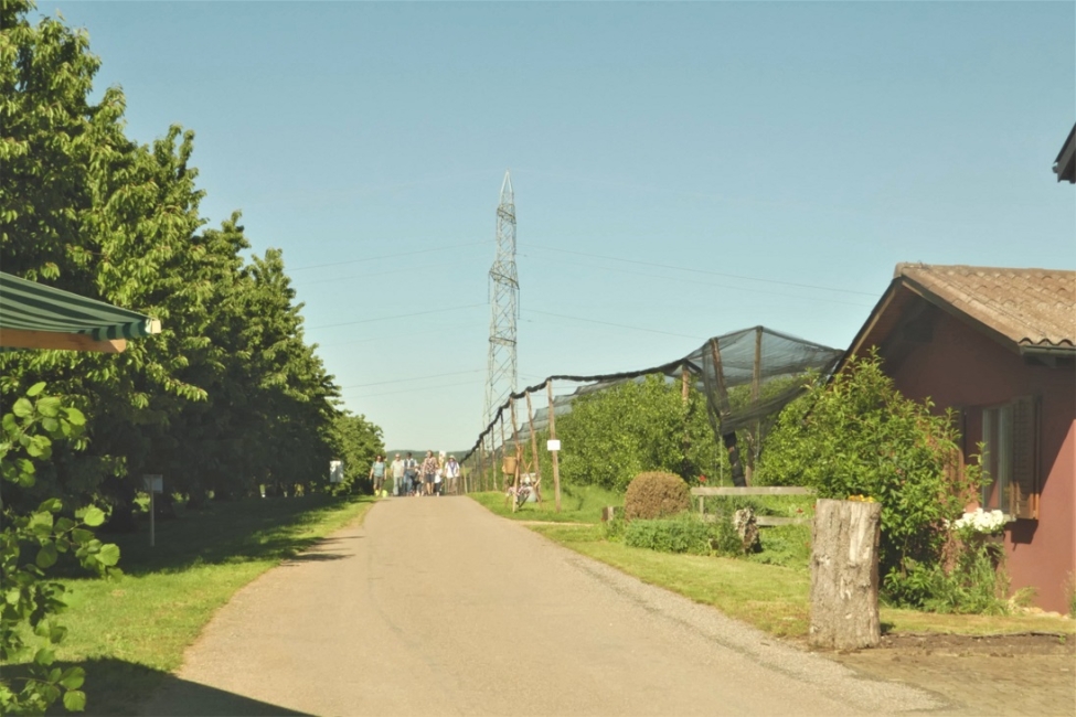 Impression vom 19.01.2026