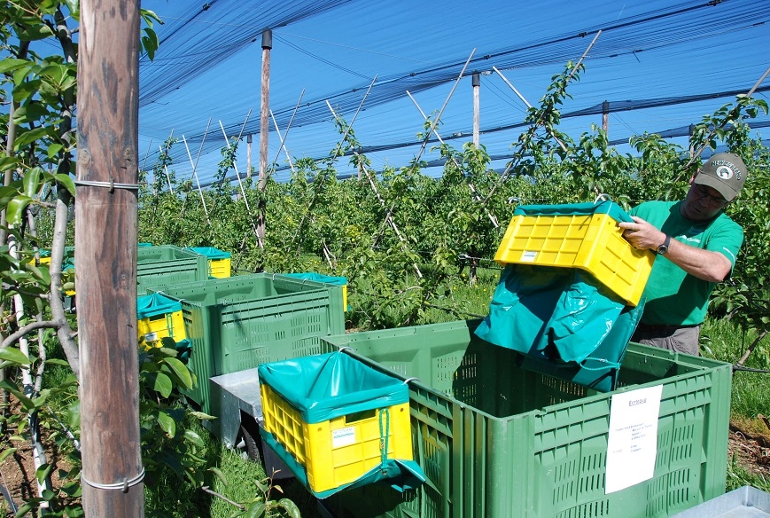 Impression vom 19.01.2026