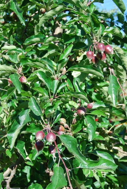 Impression vom 19.01.2026