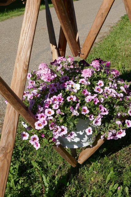 Impression vom 19.01.2026