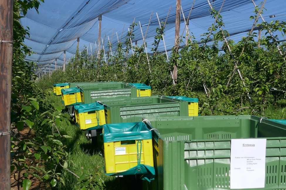 Impression vom 19.01.2026