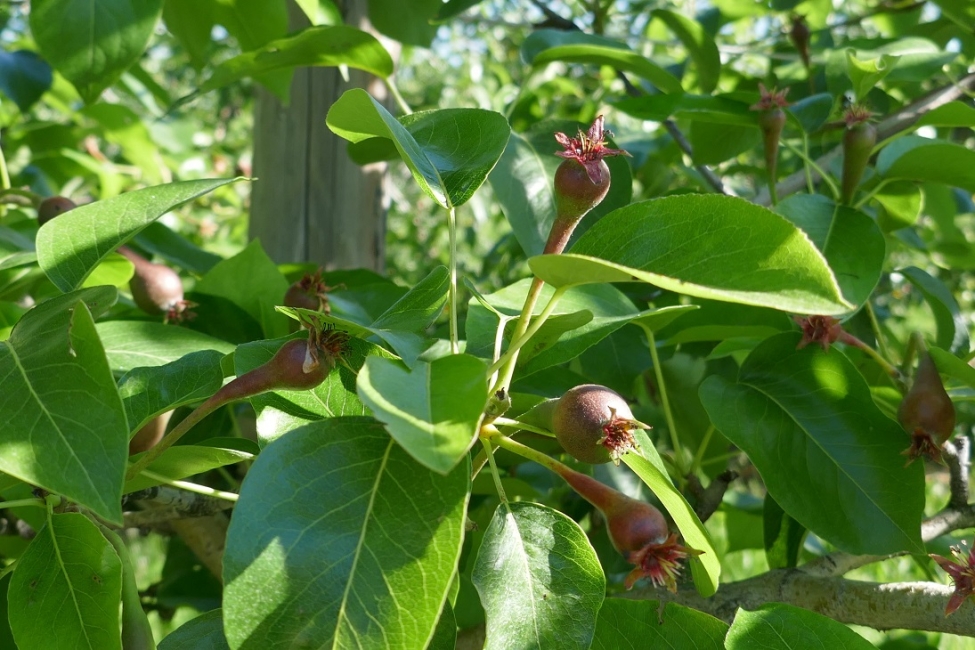 Impression vom 19.01.2026