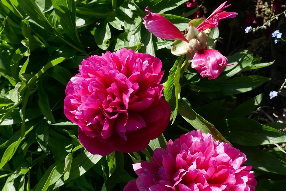 Impression vom 19.01.2026