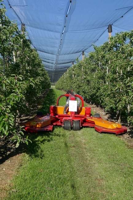 Impression vom 19.01.2026