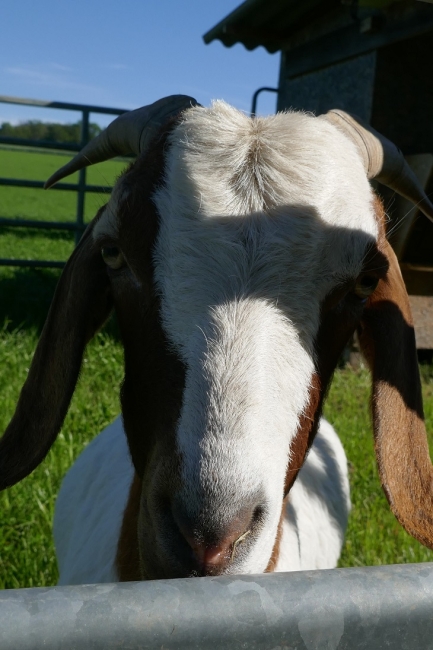 Impression vom 19.01.2026