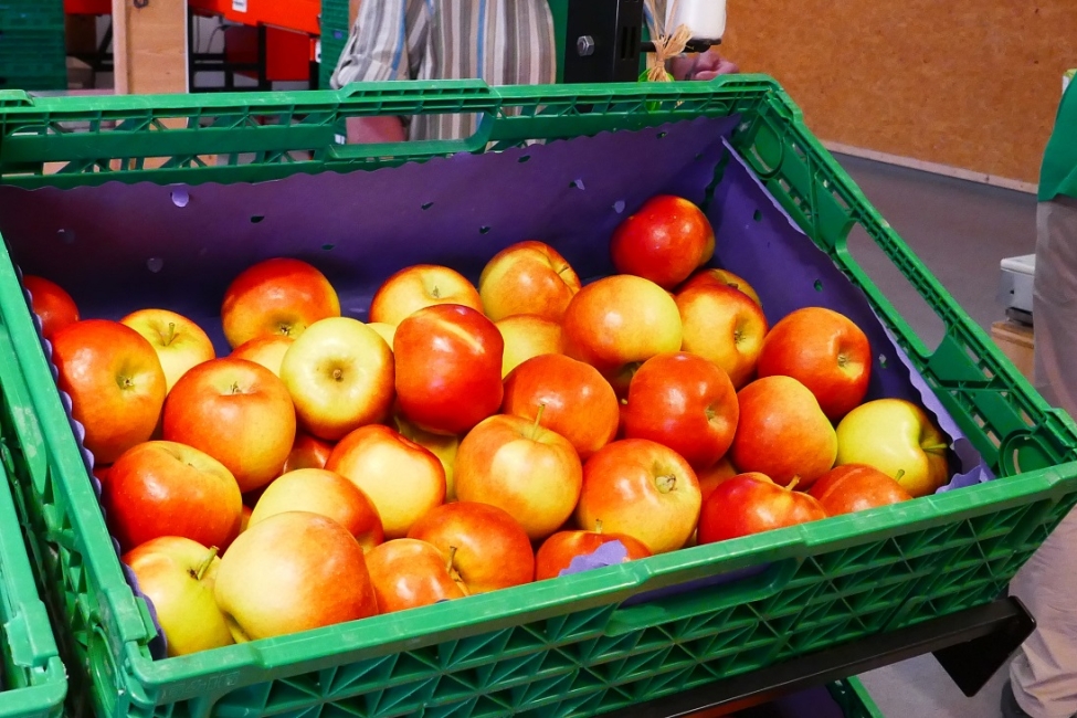 Impression vom 19.01.2026