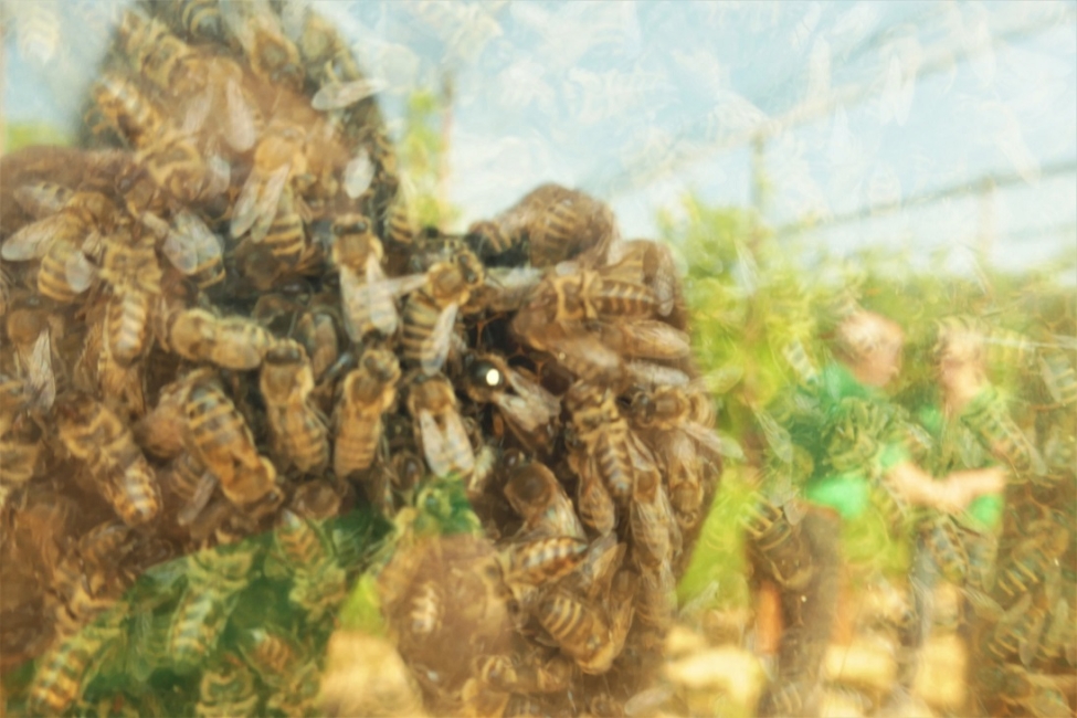 Impression vom 19.01.2026