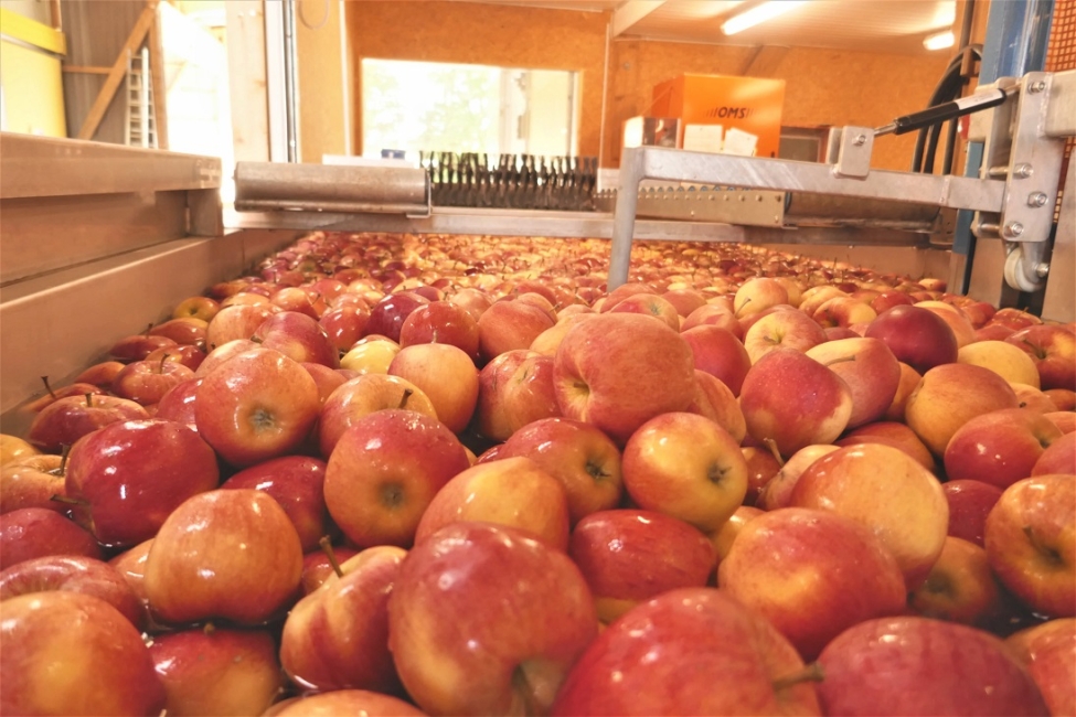 Impression vom 19.01.2026