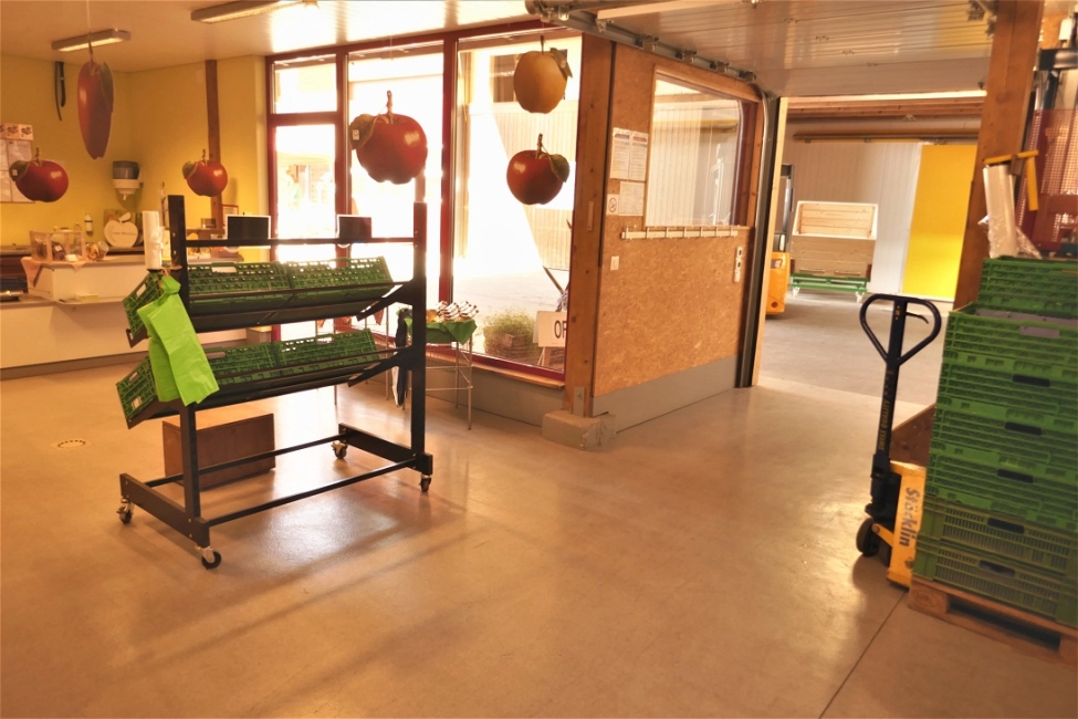 Impression vom 19.01.2026