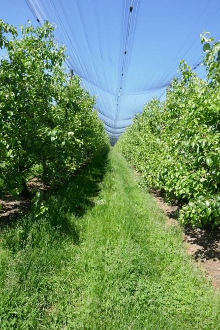 Impression vom 19.01.2026