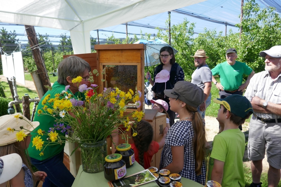 Impression vom 19.01.2026