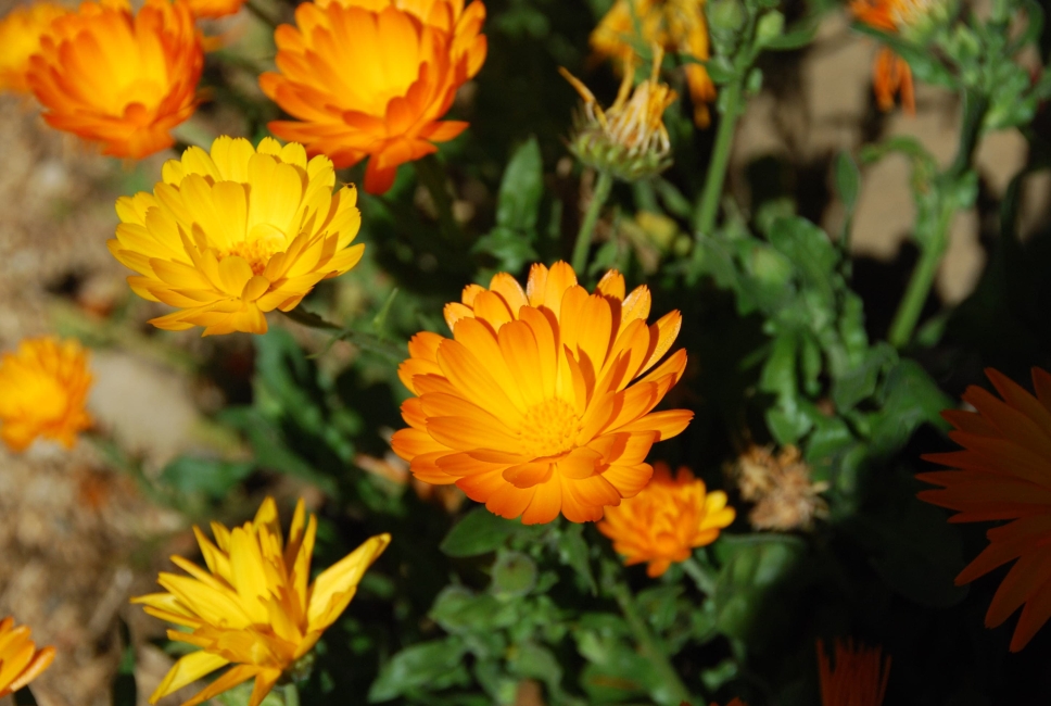 Impression vom 19.01.2026