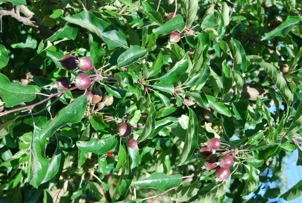 Impression vom 19.01.2026