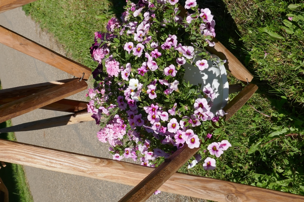 Impression vom 19.01.2026