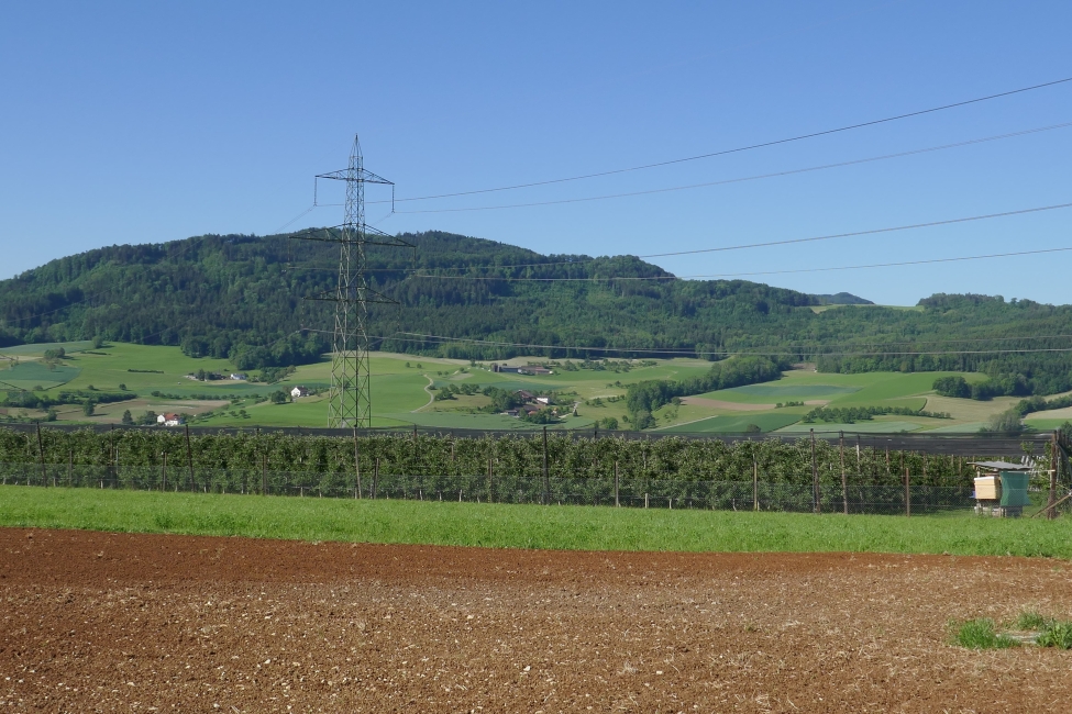 Impression vom 19.01.2026