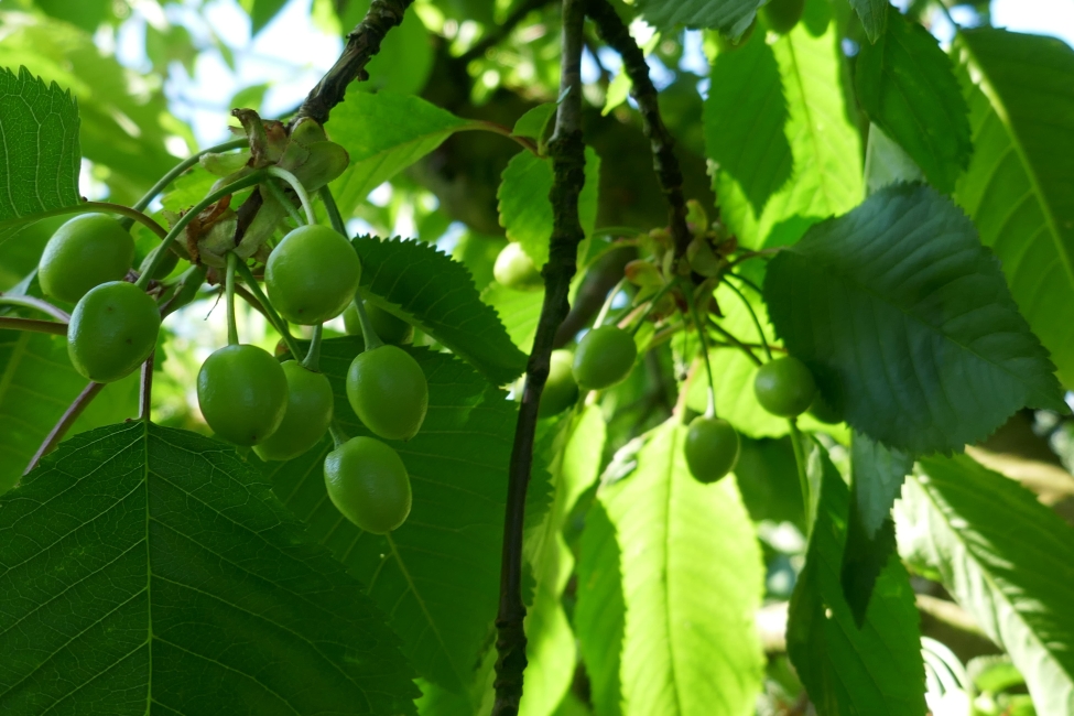 Impression vom 19.01.2026