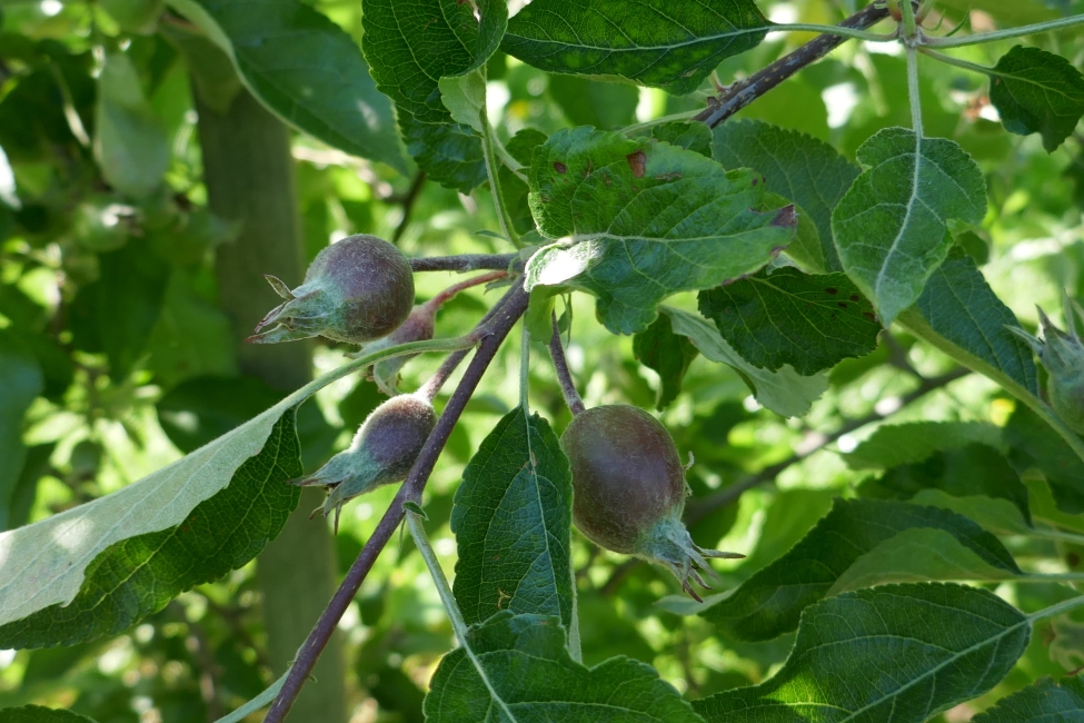 Impression vom 19.01.2026