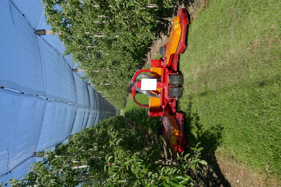 Impression vom 19.01.2026