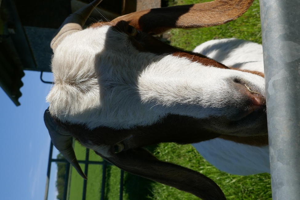 Impression vom 19.01.2026