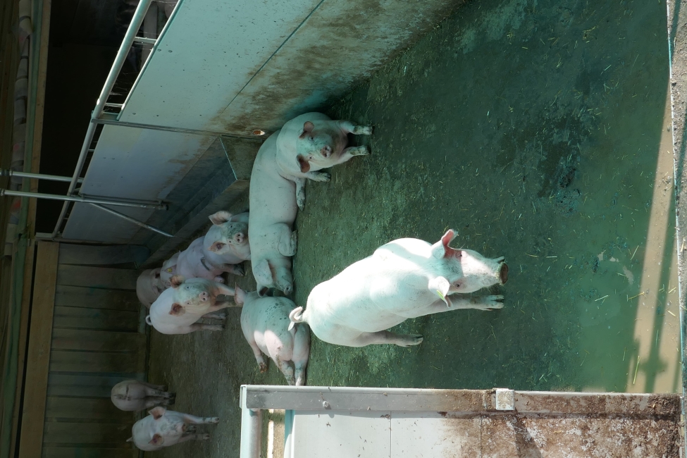 Impression vom 19.01.2026