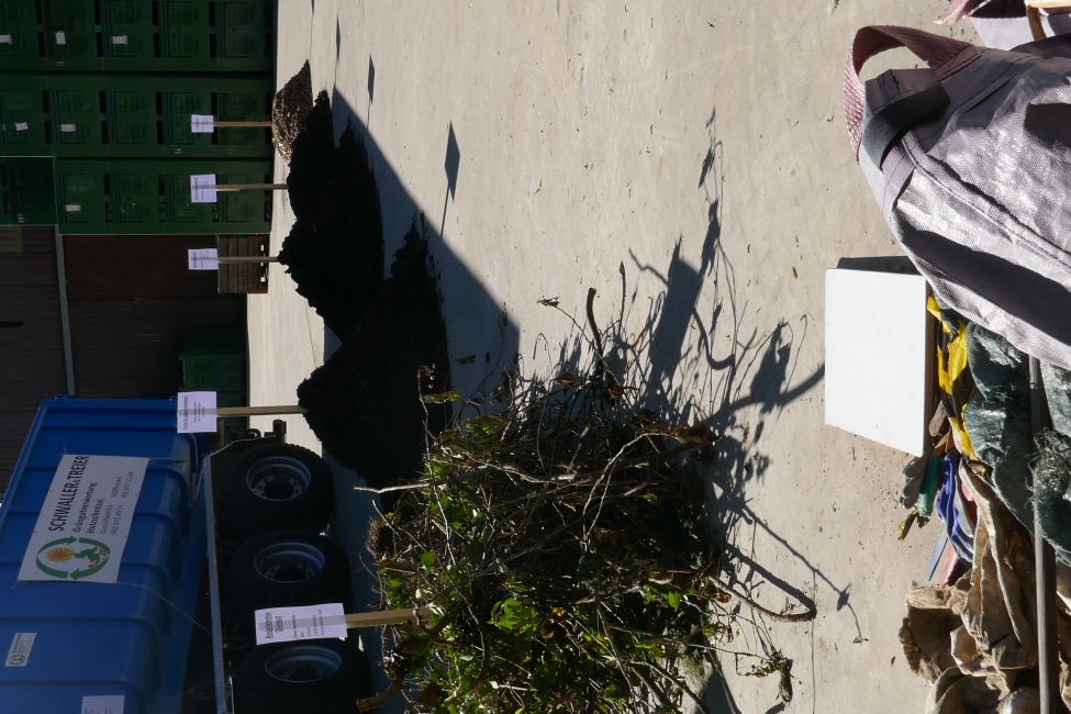 Impression vom 19.01.2026