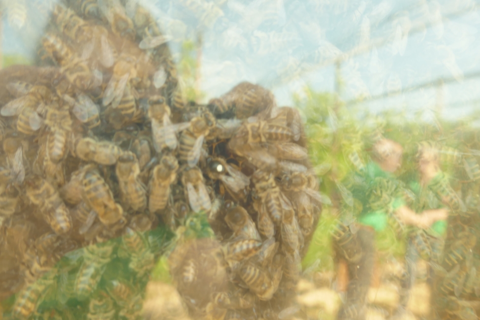 Impression vom 19.01.2026