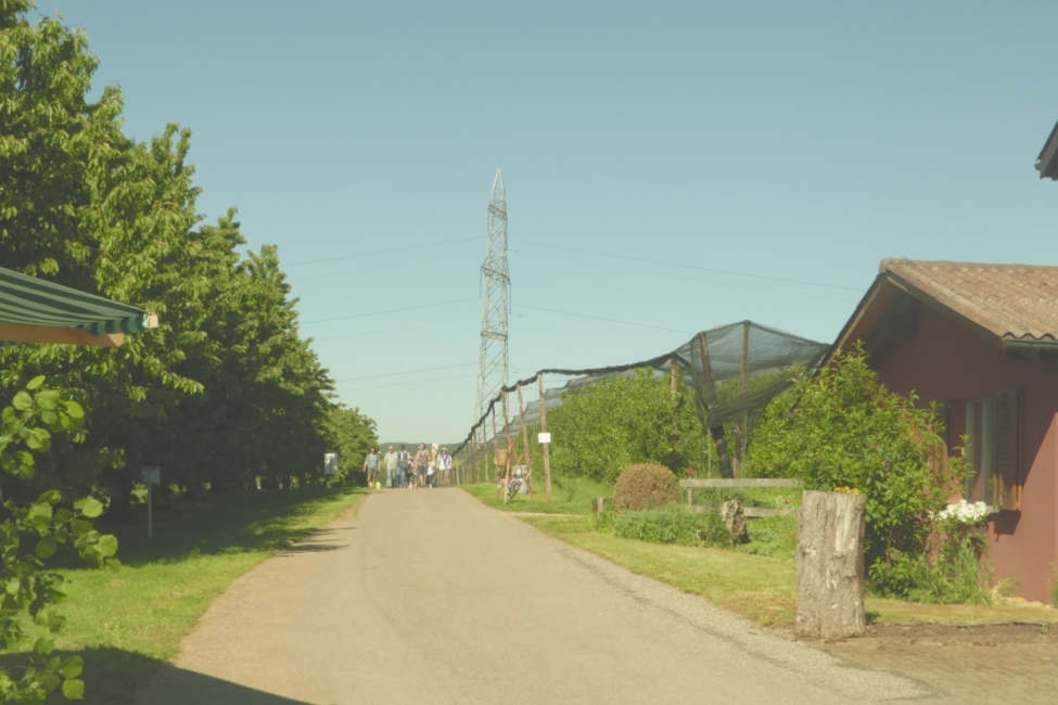 Impression vom 19.01.2026