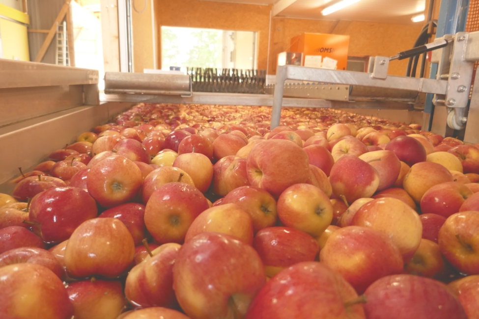 Impression vom 19.01.2026