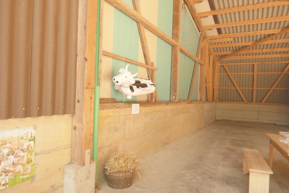 Impression vom 19.01.2026