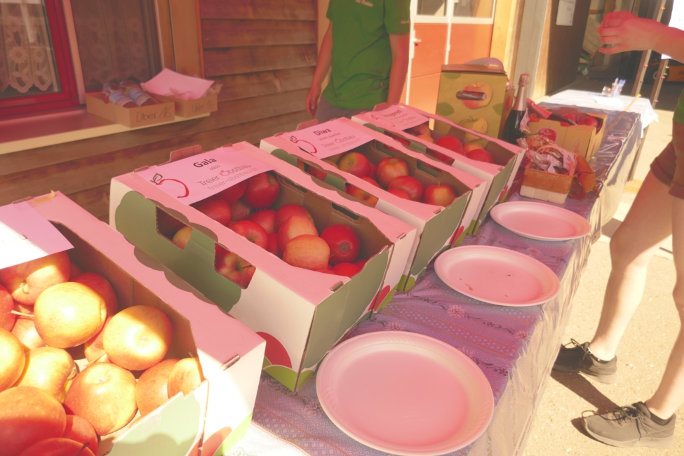 Impression vom 19.01.2026