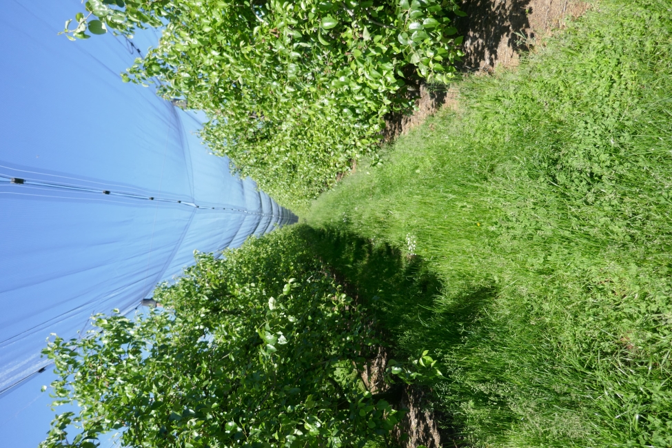 Impression vom 19.01.2026