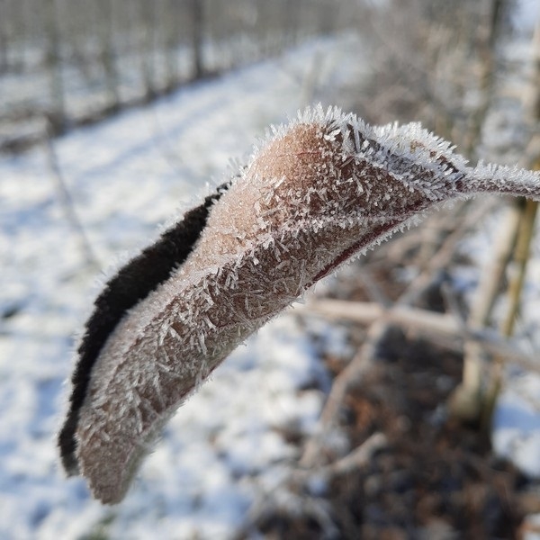 Impression vom 19.01.2026