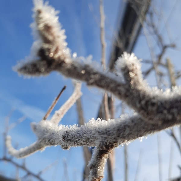 Impression vom 19.01.2026